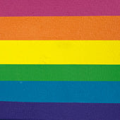 Rainbow Cake Silly Farm ELECTRIC RAINBOW