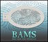 BAM3011 Bad Ass Mini Stencil