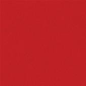 Kryolan AquaColor Bright Red 079 - Silly Farm Supplies