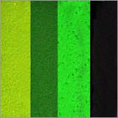 True Leaf Arty Brush Cake - Silly Farm Supplies