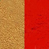 Wonder Palette Refill Metallic Gold and Red - Silly Farm Supplies
