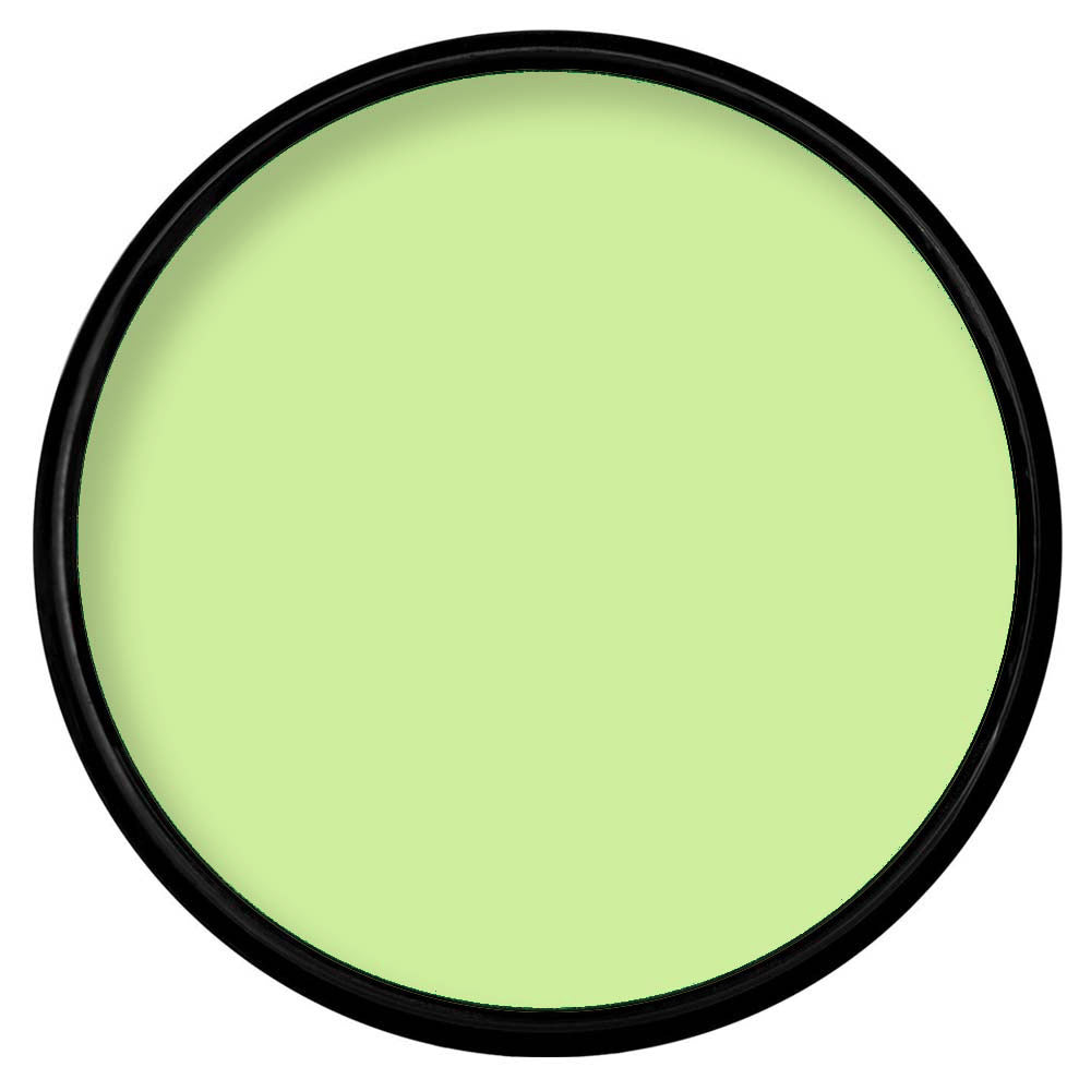 Paradise Makeup AQ PASTEL GREEN