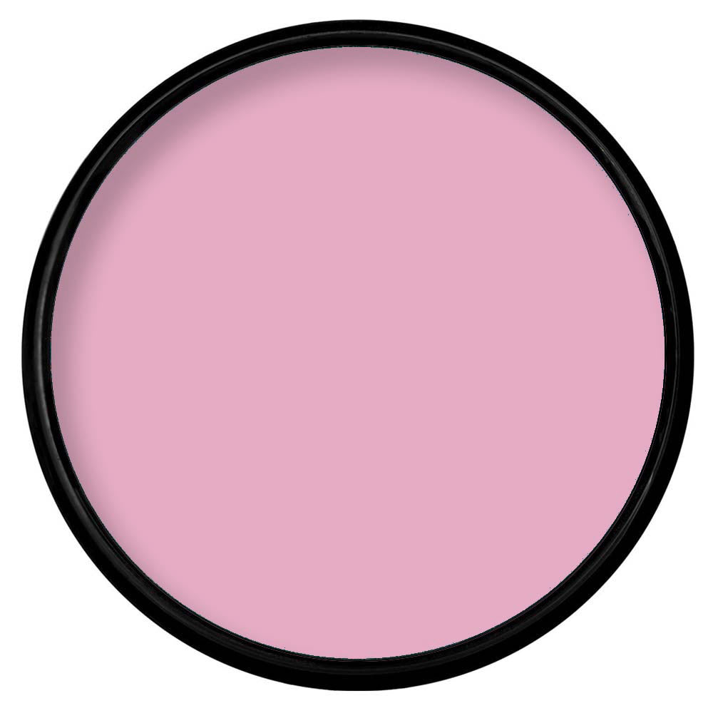 Paradise Makeup AQ PASTEL MAUVE