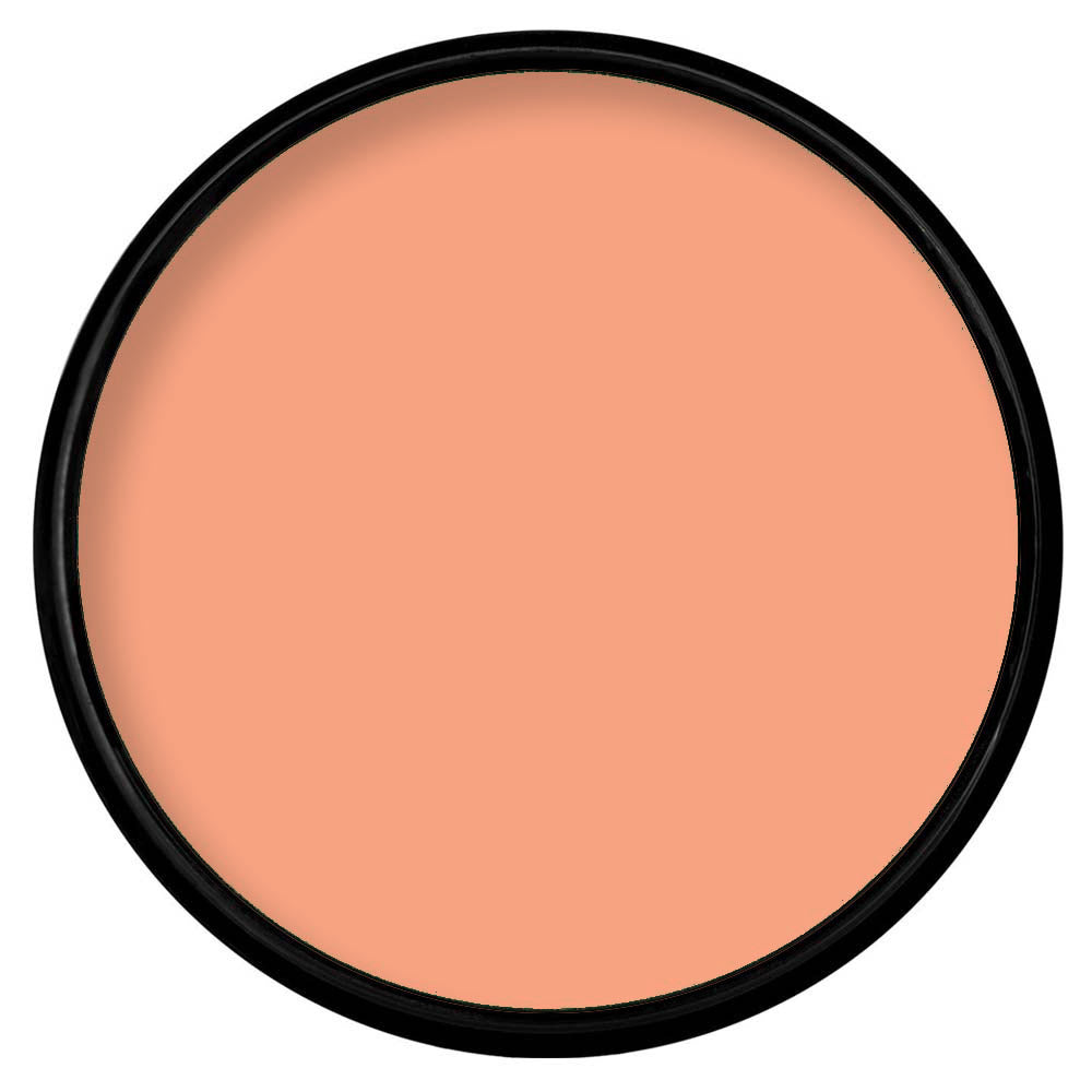 Paradise Makeup AQ PASTEL ORANGE