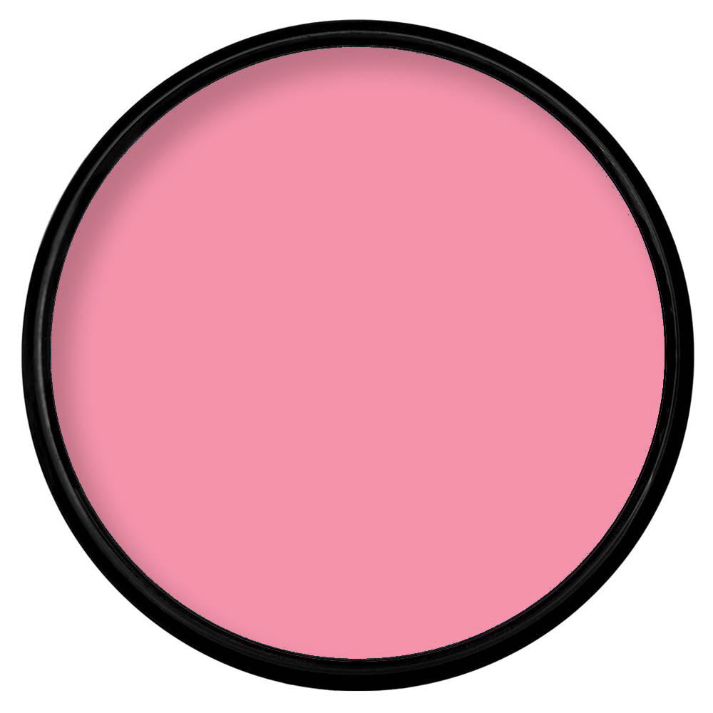 Paradise Makeup AQ PASTEL PINK