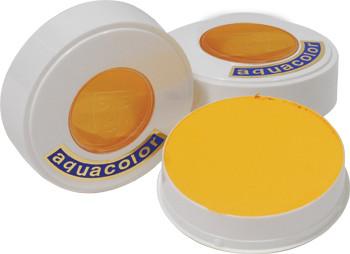 Kryolan AquaColor Bright Yellow 509 - Silly Farm Supplies