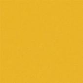 Kryolan AquaColor Bright Yellow 509 - Silly Farm Supplies