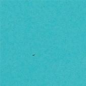Kryolan AquaColor Turquoise TK2 - Silly Farm Supplies
