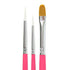 Paint Pal 3 piece Limited Edition Brush Collection