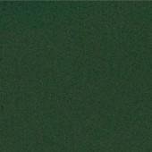 Paradise Makeup AQ Dark Green - Silly Farm Supplies