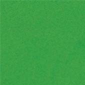 Paradise Makeup AQ Light Green - Silly Farm Supplies