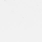 Starblend Powder White - Silly Farm Supplies