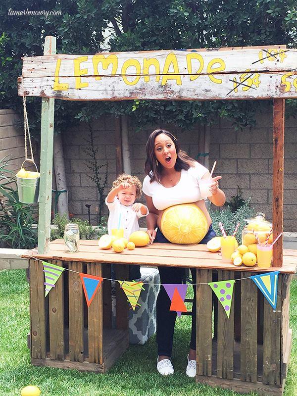 The Belly Art Project Book - Silly Farm Supplies