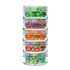 Tropical Chunky Loose Glitter Mix Stack- 5 7.5g by Vivid Glitter
